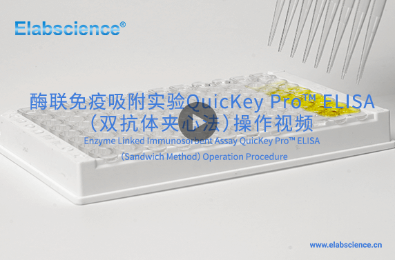 QuicKey Pro ELISA（双抗体夹心法）操作视频