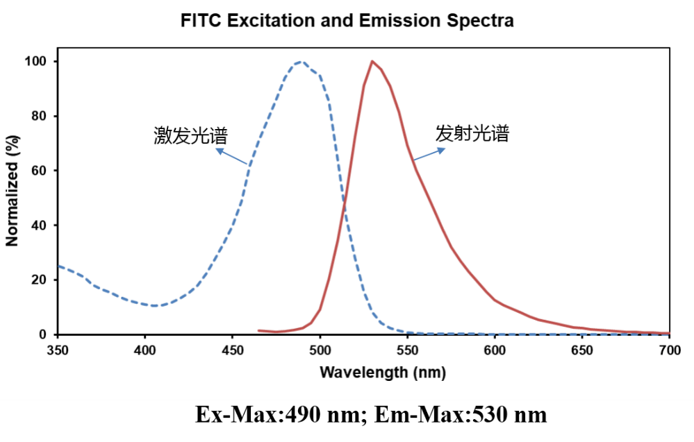 FITC激发和发射光谱图