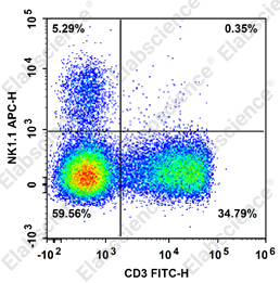 C57BL/6小鼠NK细胞检测